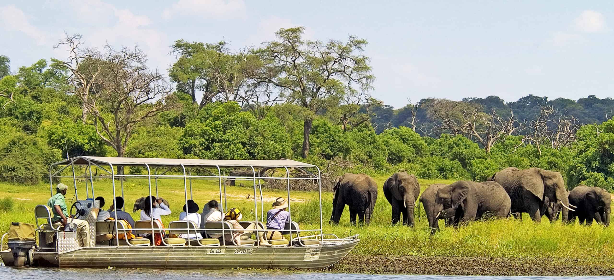 Chobe Day Trip